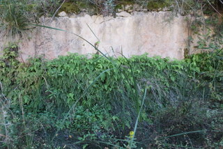 Terme romane Centuripe